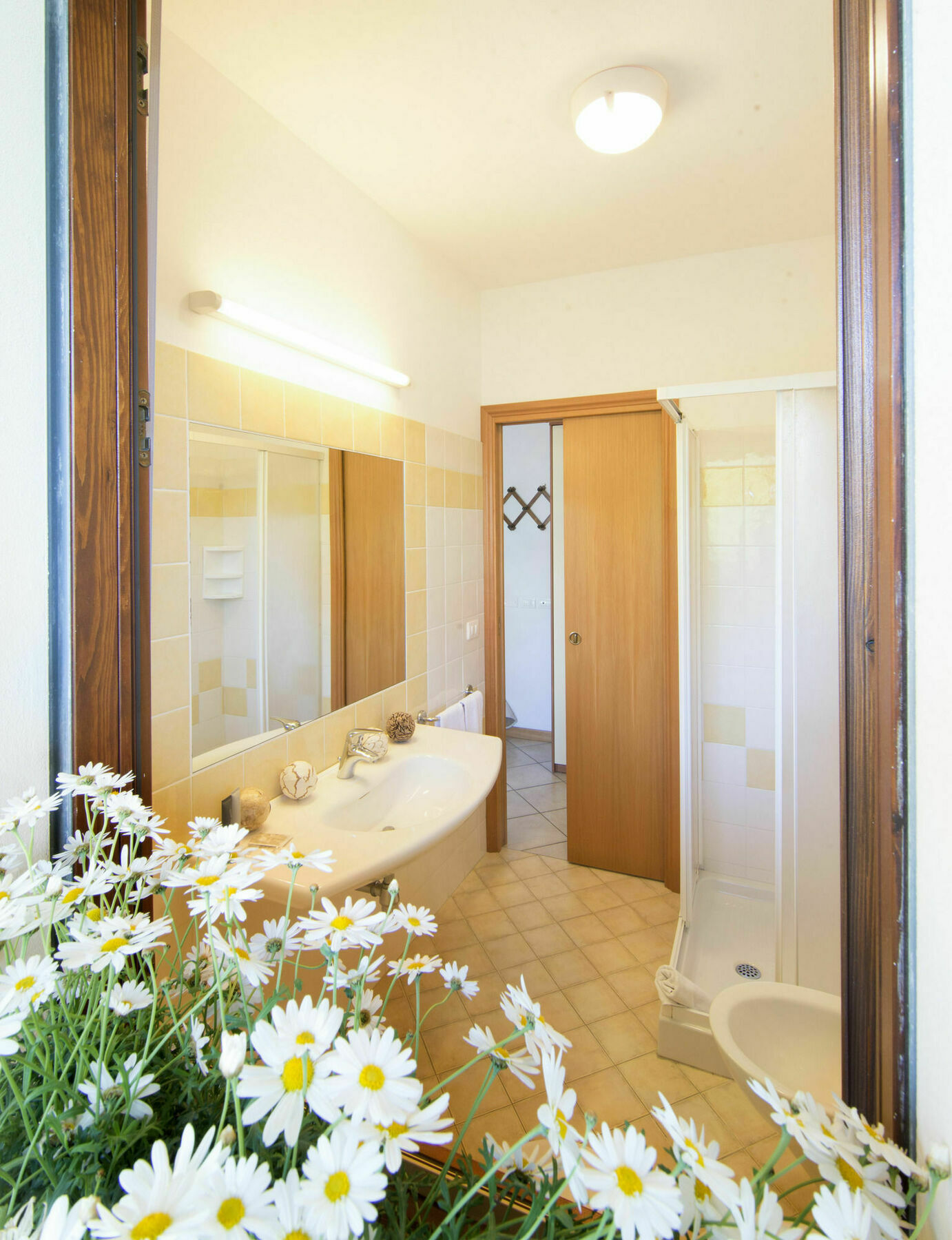 Residence Pineta Verde Milano Marittima Ngoại thất bức ảnh